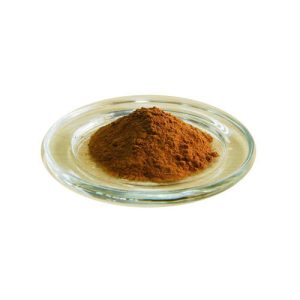 Forskolin - Coleus Forskohlii Powder 100gms