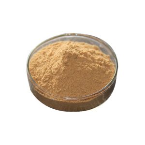Gentian Root Powder 50gms