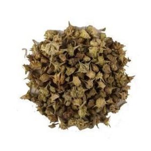 Tribulus Terrestris 100gms