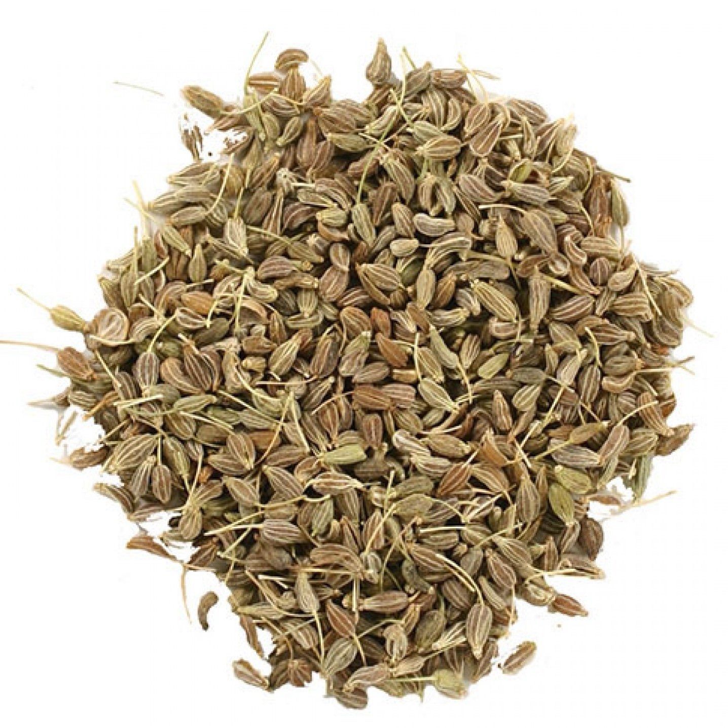 Aniseed