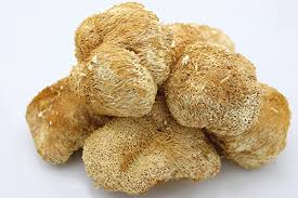 LIONS-MANE-MUSHROOM WHOLE