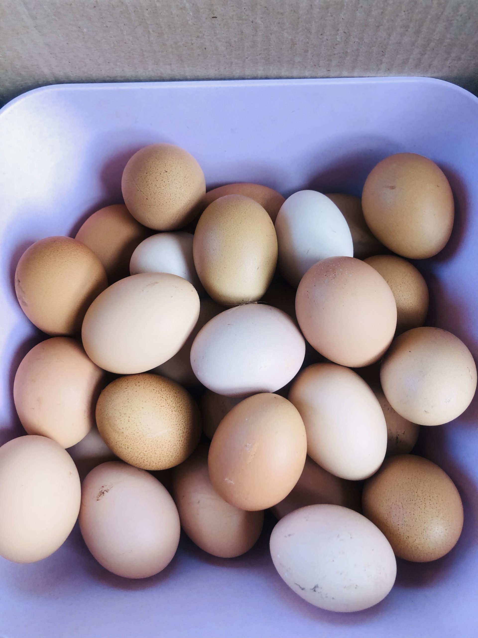 ORGANIC FREE RANGE EGGS 12