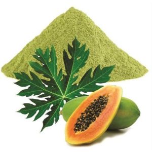 Papaya leaf powder Paw paw leaf powder Organic