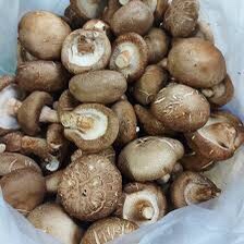 Shiitake Mushroom 50gms