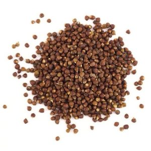 Alligator pepper seeds Grains of paradise