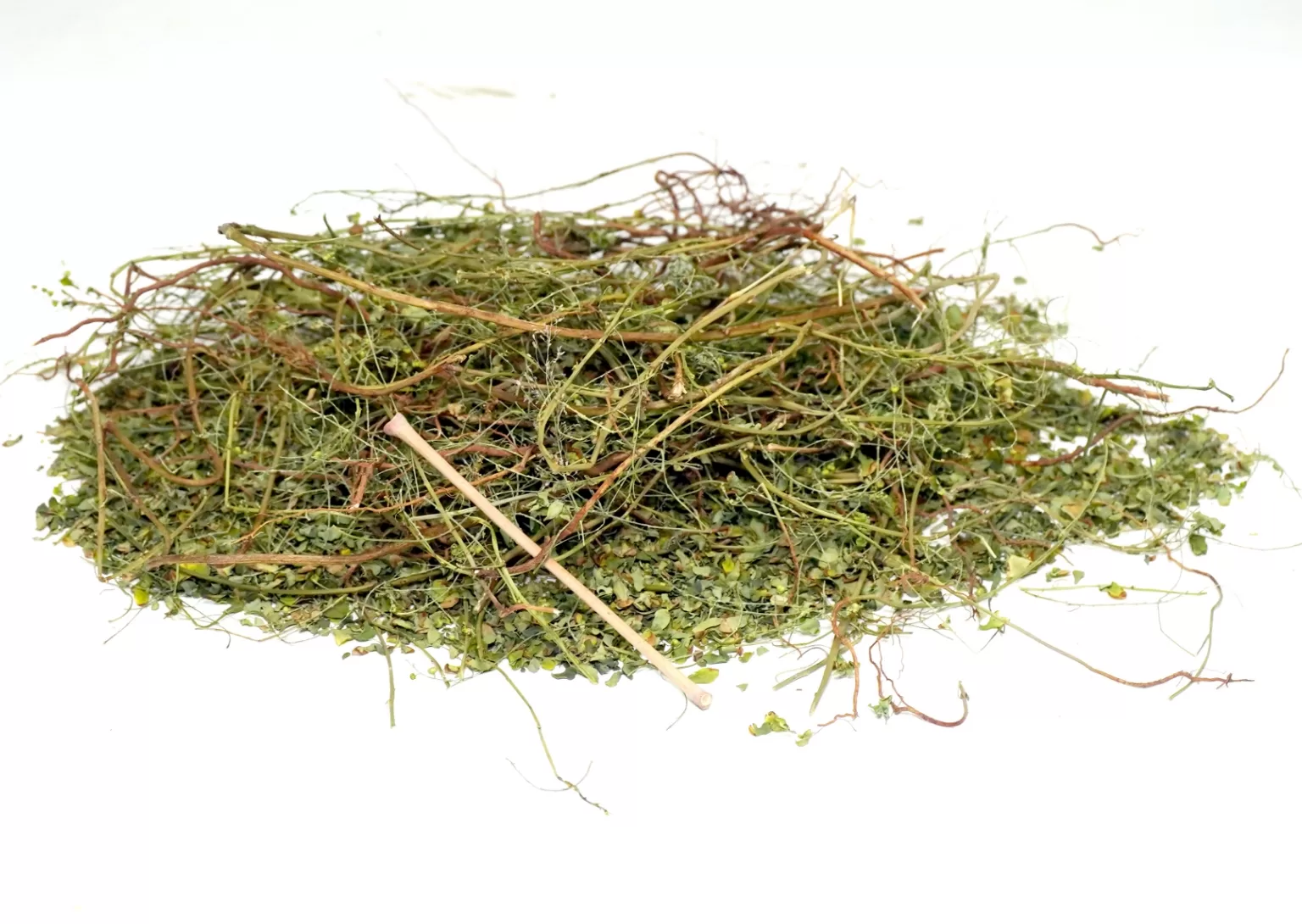 PHYLLANTHUS NIRURI STONE BREAKER,CHANCA PIEDRA,GALA OF THE WIND LEAF - Image 2