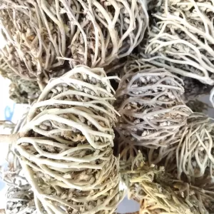 MARYAM FLOWER ROSE OF JERICHO