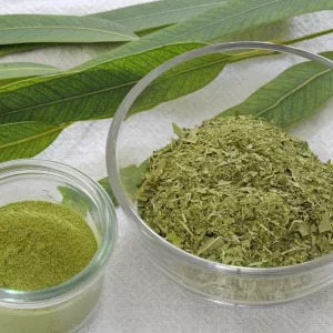 Eucalyptus leaf tea Powder