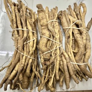 Mulondo,Mondia whitei,White ginger root bundle