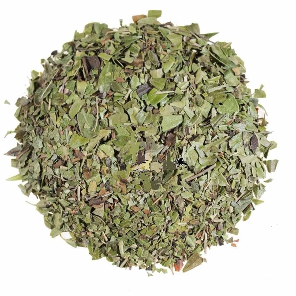 Bear Berry herb UVA URSI