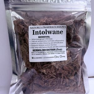 Intolwane (Elephantorrhiza elephantina)